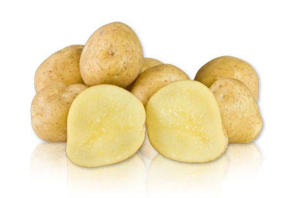 Yellow Finn