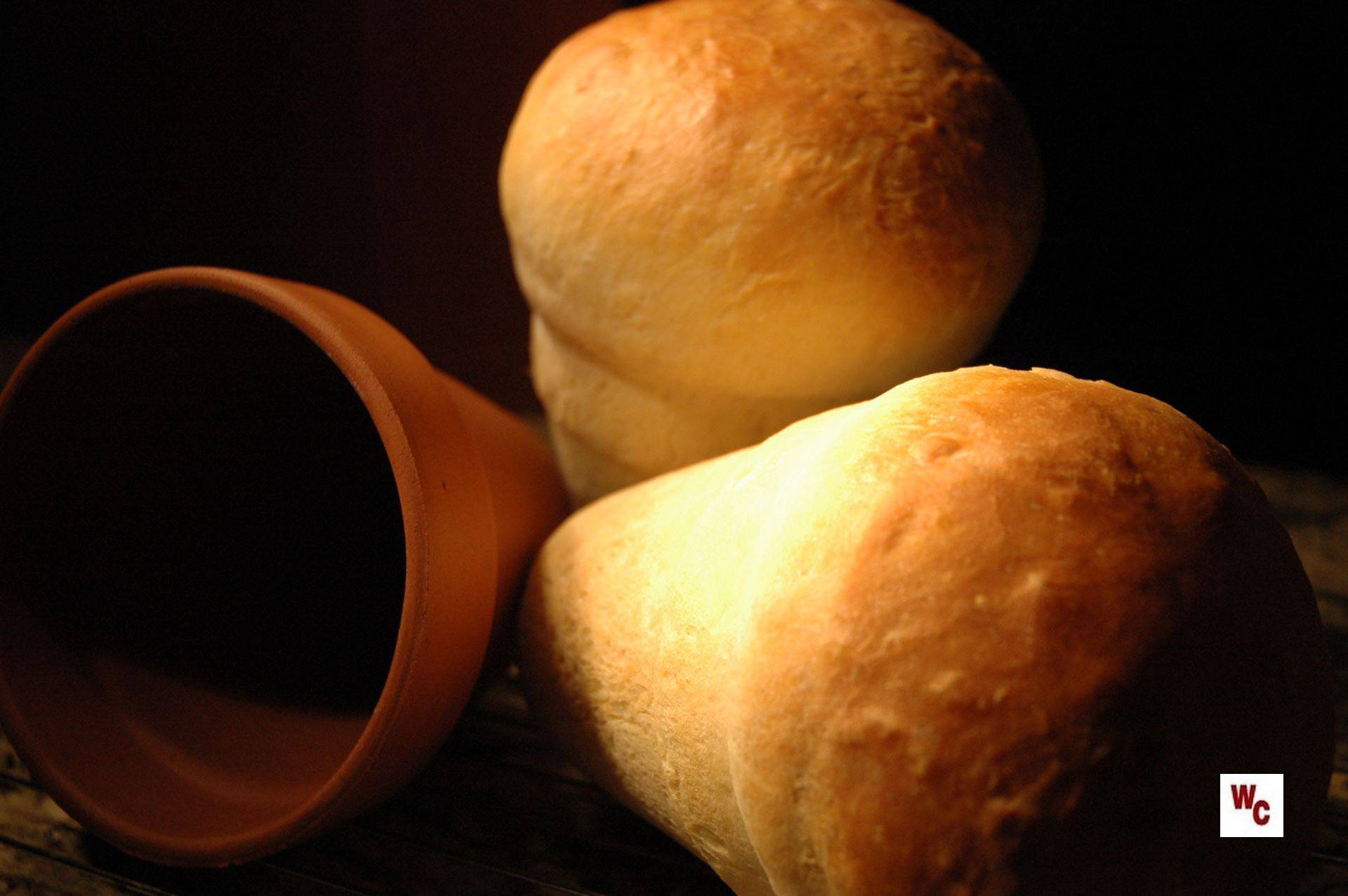 Terracotta Bread What's Cooking