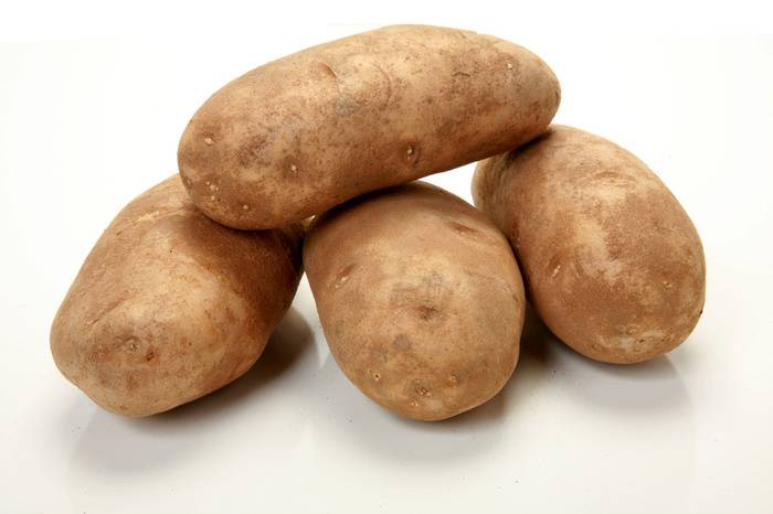 russet potato