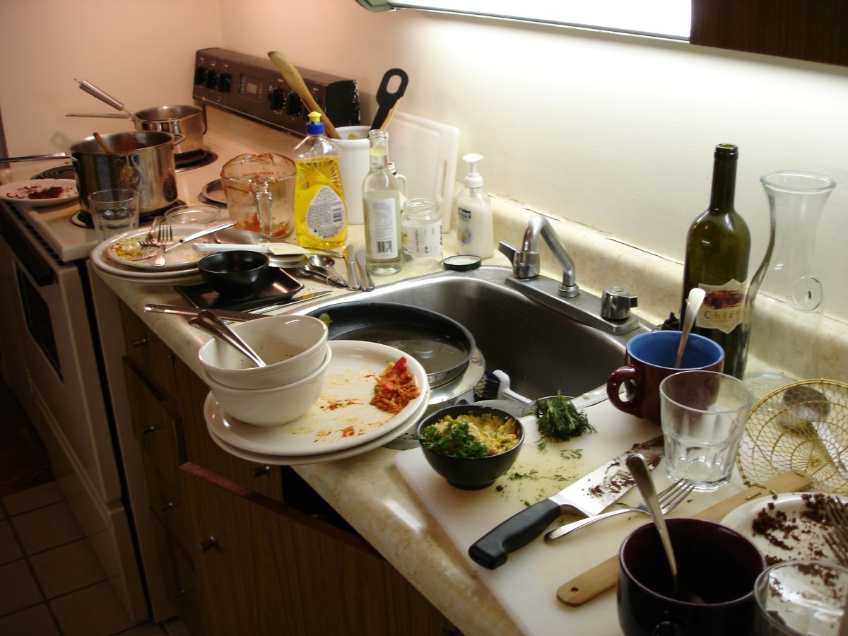 Avoiding Cooking Disasters What's Cooking